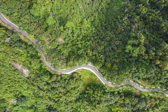 深圳大雁山森林公园