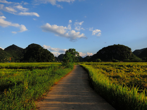 田园风光