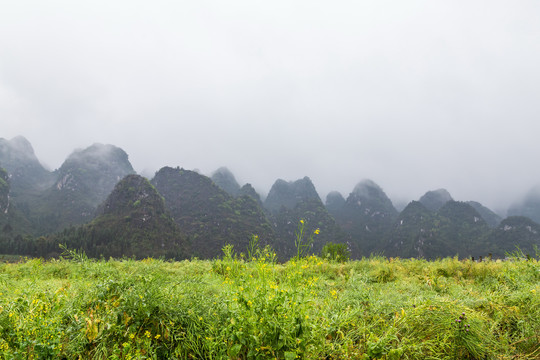 贵州兴义万峰林