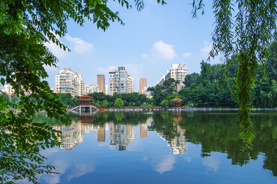 鞍山英泽湖与凉亭与树荫建筑