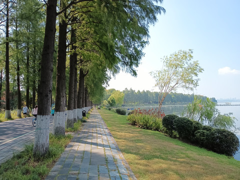 东湖风景区湖岸风光