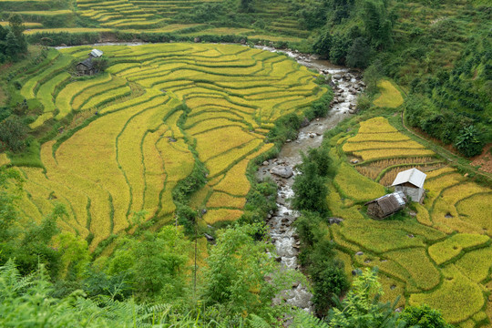 有小河的山区古梯田