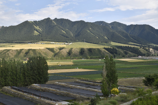 天山大峡谷