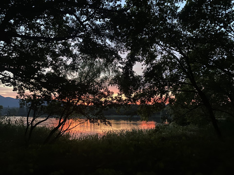 湖边树林夕阳晚霞