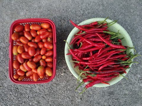 红辣椒与西红柿