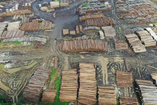 木料厂木头