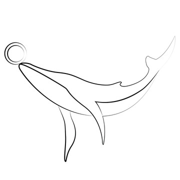 海豚手绘线稿