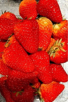 草莓1