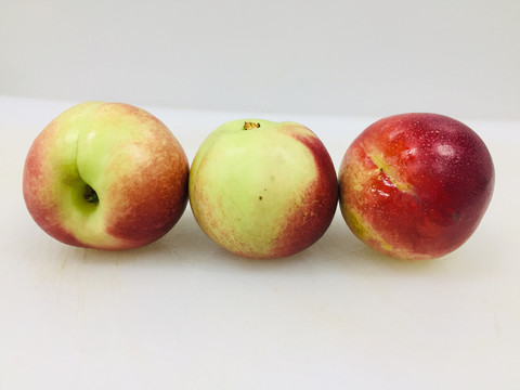 珍珠枣油桃
