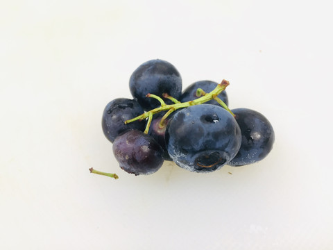 蓝莓