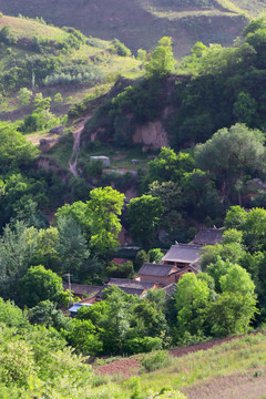 乡村景观