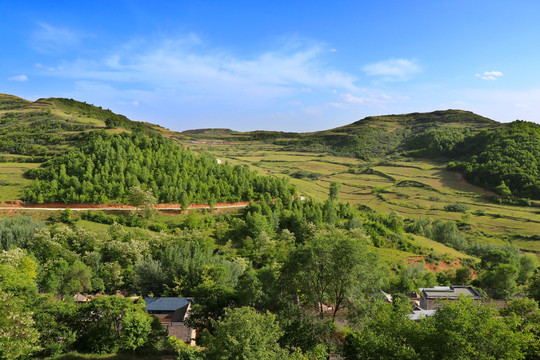 乡村景观