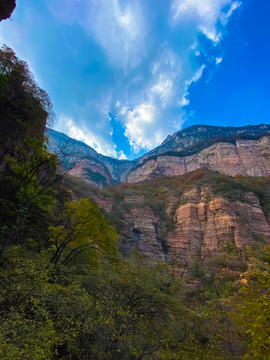 仰视山峰