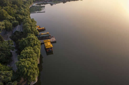 大明湖畔映朝阳图片