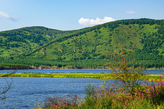 阿尔山杜鹃湖