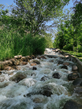 夏季小溪河流