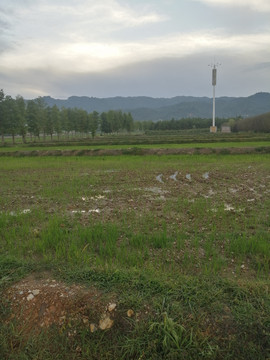 公园