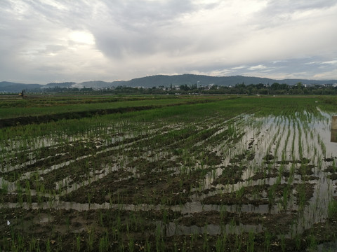 公园