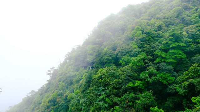 山川云雾