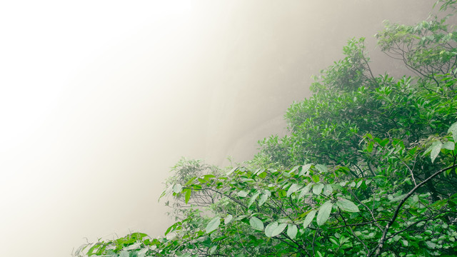 山