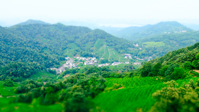 西湖龙井村