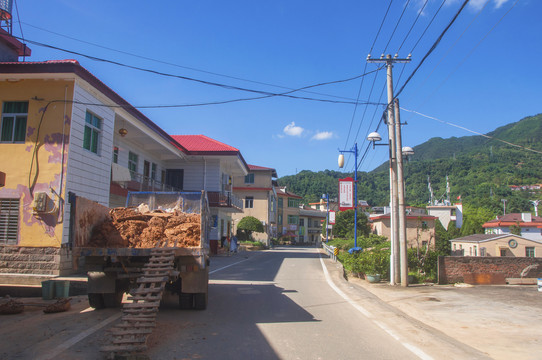 大羽村农村风景