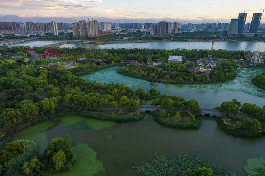 灞河湿地