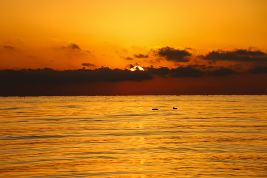 青海湖夕阳