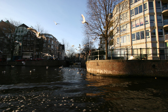 阿姆斯特丹河畔
