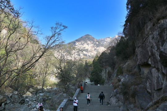 东岳泰山景观