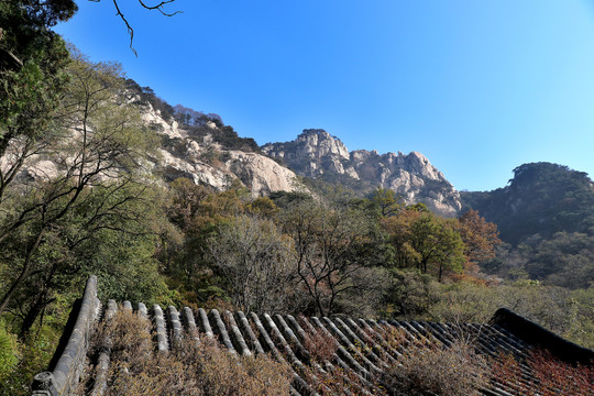 东岳泰山景观