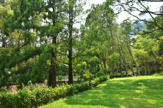 香港