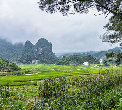 巴马风光