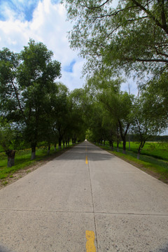 路