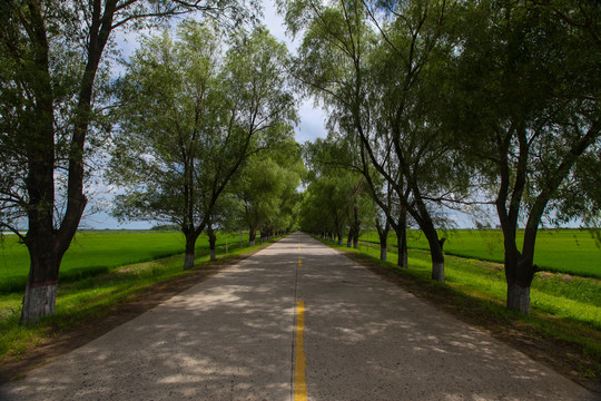 路