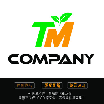 TM字母logo
