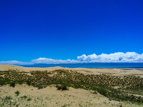青海湖沙岛