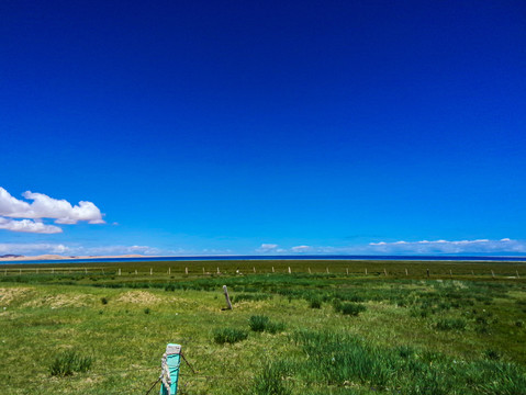 青海湖沙岛