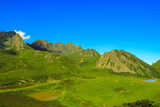 九顶山