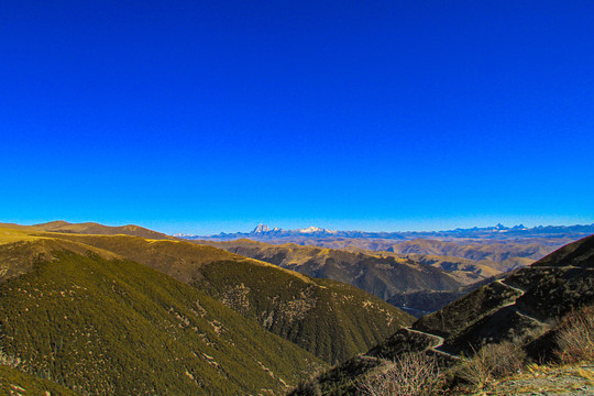 高尔寺山