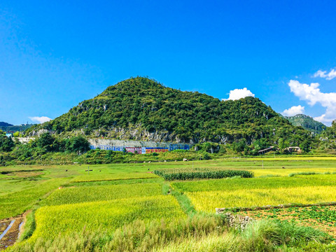 贵州安顺织金洞景区