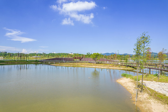 深圳石岩湖湿地公园