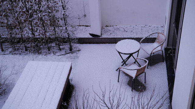 庭院雪景
