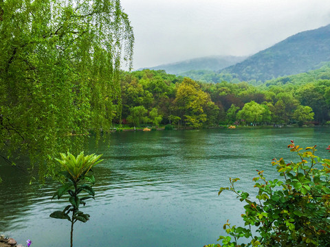 江苏南京钟山风景区紫霞湖