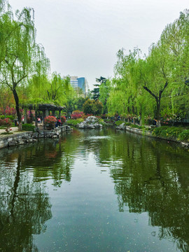 江苏南京钟山风景区紫霞湖