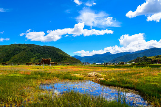 香格里拉风光