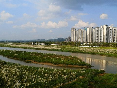 城市河流