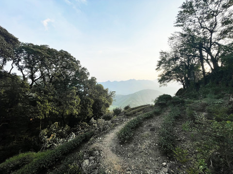 山间小路