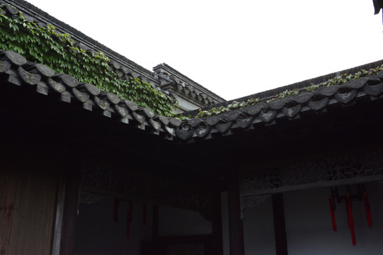 扬州个园