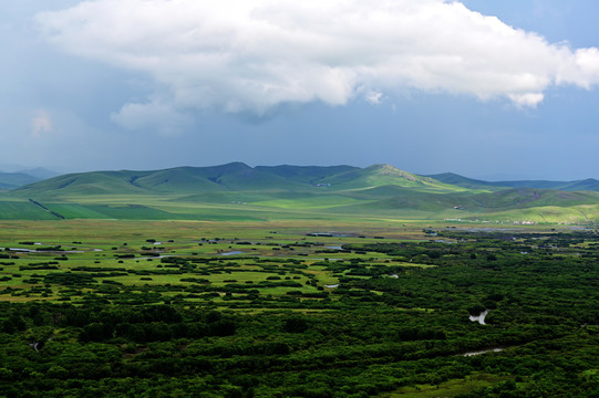 额尔古纳湿地